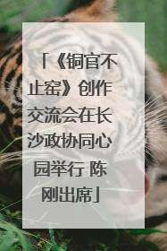 《铜官不止窑》创作交流会在长沙政协同心园举行 陈刚出席