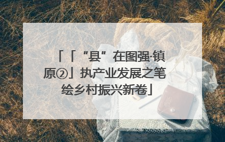 「“县”在图强·镇原②」执产业发展之笔 绘乡村振兴新卷