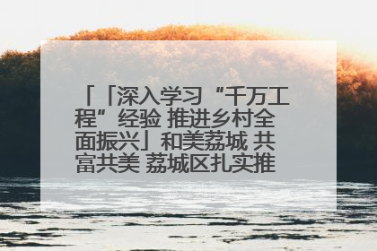 「深入学习“千万工程”经验 推进乡村全面振兴」和美荔城 共富共美 荔城区扎实推进乡村振兴工作