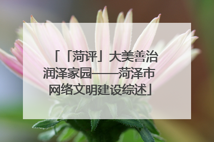 「菏评」大美善治润泽家园——菏泽市网络文明建设综述