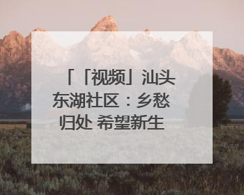 「视频」汕头东湖社区：乡愁归处 希望新生｜大美岭南·百村焕新记