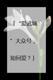 “爱武城”大众号，如何爱？