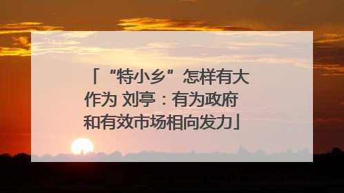 “特小乡”怎样有大作为 刘亭：有为政府和有效市场相向发力