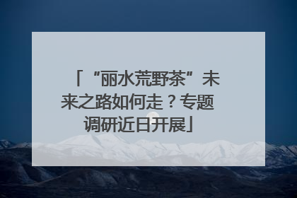 “丽水荒野茶”未来之路如何走？专题调研近日开展