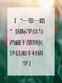 “一带一路”国际学员与西藏干部到长沙县湘丰村研学