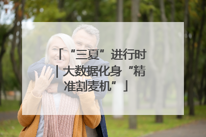 “三夏”进行时｜大数据化身“精准割麦机”