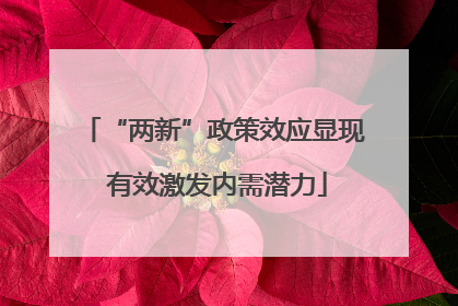 “两新”政策效应显现 有效激发内需潜力