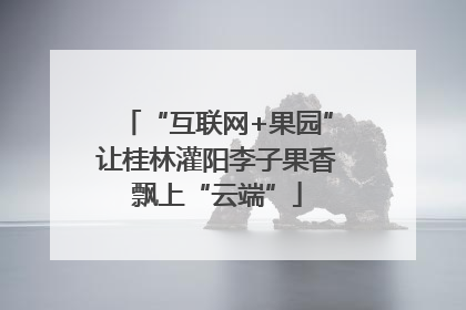 “互联网+果园”让桂林灌阳李子果香飘上“云端”