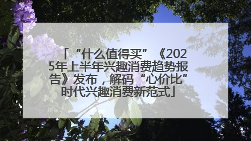 “什么值得买”《2025年上半年兴趣消费趋势报告》发布，解码“心价比”时代兴趣消费新范式