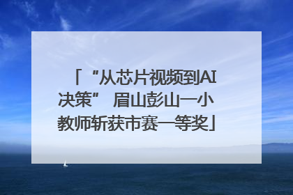 “从芯片视频到AI决策” 眉山彭山一小教师斩获市赛一等奖