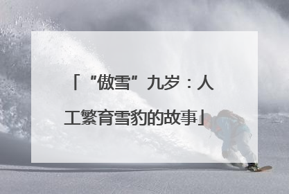 “傲雪”九岁：人工繁育雪豹的故事