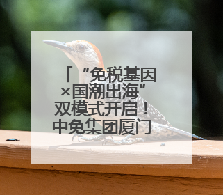 “免税基因×国潮出海”双模式开启！中免集团厦门市内免税店正式开业