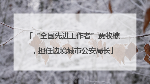 “全国先进工作者”贾牧樵，担任边境城市公安局长