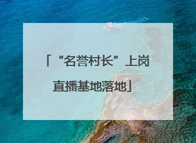 “名誉村长”上岗 直播基地落地