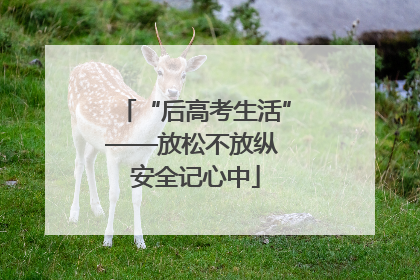 “后高考生活”——放松不放纵 安全记心中