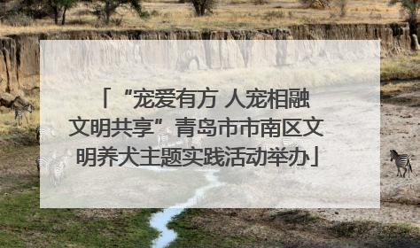 “宠爱有方 人宠相融 文明共享”青岛市市南区文明养犬主题实践活动举办