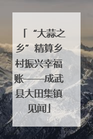 “大蒜之乡”精算乡村振兴幸福账——成武县大田集镇见闻