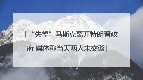 “失望”马斯克离开特朗普政府 媒体称当天两人未交谈