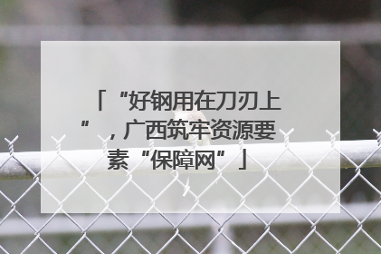 “好钢用在刀刃上”，广西筑牢资源要素“保障网”