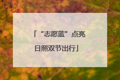 “志愿蓝”点亮日照双节出行