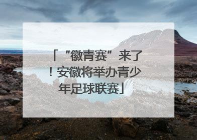“徽青赛”来了！安徽将举办青少年足球联赛