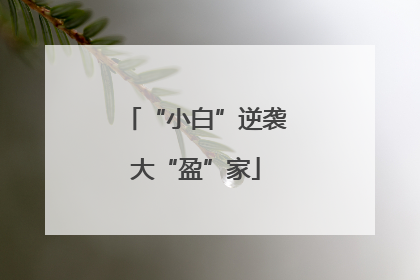 “小白”逆袭大“盈”家
