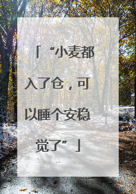 “小麦都入了仓，可以睡个安稳觉了”