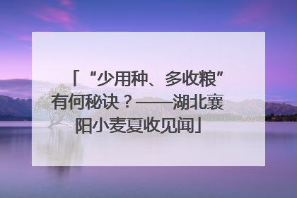 “少用种、多收粮”有何秘诀？——湖北襄阳小麦夏收见闻