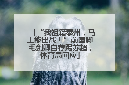 “我祖籍泰州，马上能出战！”前国脚毛剑卿自荐踢苏超，体育局回应