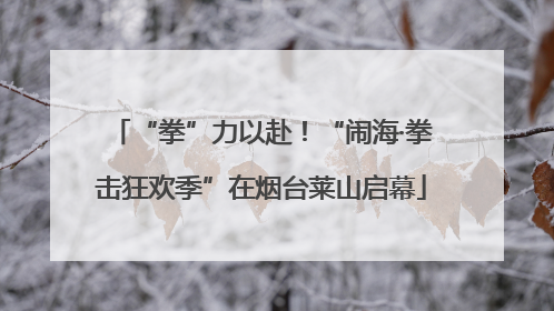 “拳”力以赴！“闹海·拳击狂欢季”在烟台莱山启幕