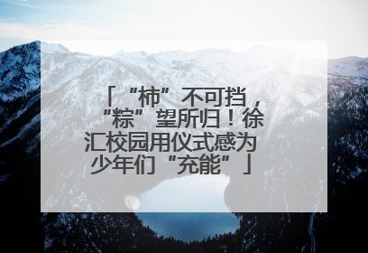 “柿”不可挡，“粽”望所归！徐汇校园用仪式感为少年们“充能”