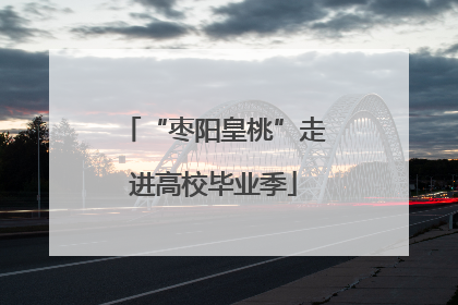 “枣阳皇桃”走进高校毕业季