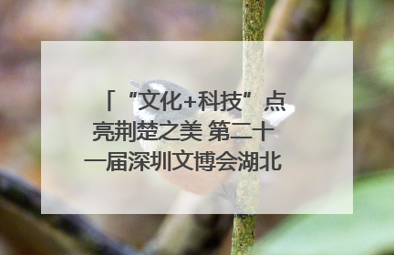 “文化+科技”点亮荆楚之美 第二十一届深圳文博会湖北馆抢“鲜”看