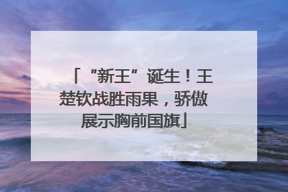 “新王”诞生！王楚钦战胜雨果，骄傲展示胸前国旗