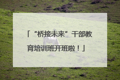 “桥接未来”干部教育培训班开班啦！