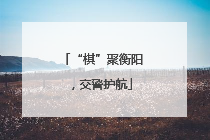 “棋”聚衡阳，交警护航