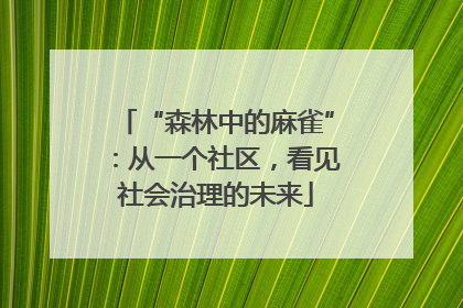 “森林中的麻雀”：从一个社区，看见社会治理的未来