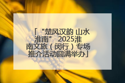 “楚风汉韵 山水淮南” 2025淮南文旅（闵行）专场推介活动圆满举办
