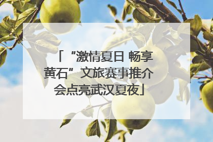 “激情夏日 畅享黄石”文旅赛事推介会点亮武汉夏夜