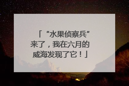 “水果侦察兵”来了，我在六月的威海发现了它！
