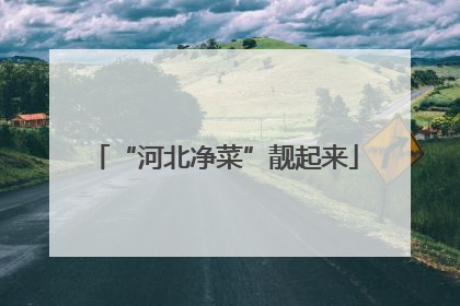“河北净菜”靓起来