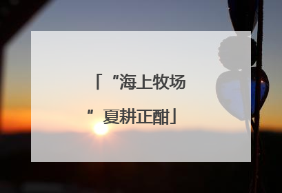 “海上牧场”夏耕正酣