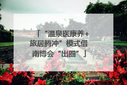 “温泉医康养+旅居腾冲”模式借南博会“出圈”
