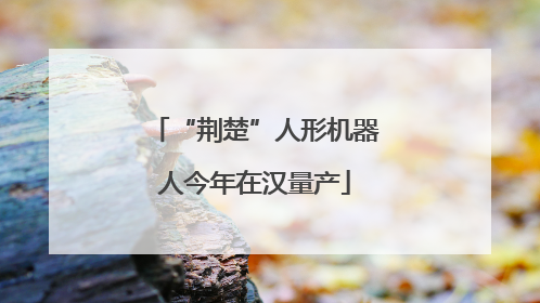 “荆楚”人形机器人今年在汉量产