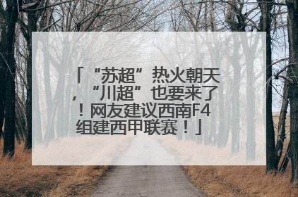 “苏超”热火朝天，“川超”也要来了！网友建议西南F4组建西甲联赛！