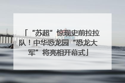 “苏超”惊现史前拉拉队！中华恐龙园“恐龙大军”将亮相开幕式