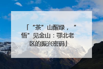 “茶”山醒绿，“悟”见金山：鄂北老区的振兴密码