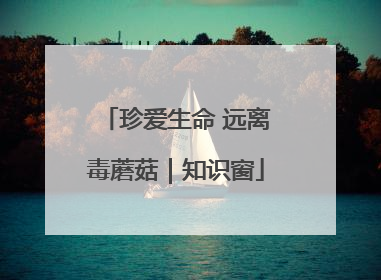 珍爱生命 远离毒蘑菇｜知识窗