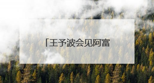 王予波会见阿富汗临时政府代理副总理阿卜杜·萨拉姆·哈纳菲