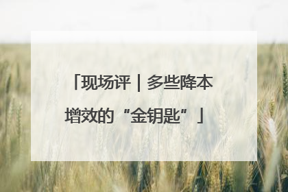 现场评｜多些降本增效的“金钥匙”